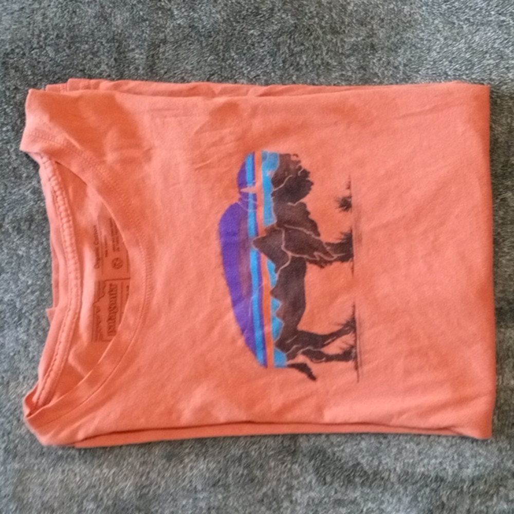 Women's Patagonia small tee